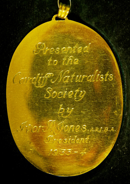 Rear of Presidential Badge presented to the society by I P Jones