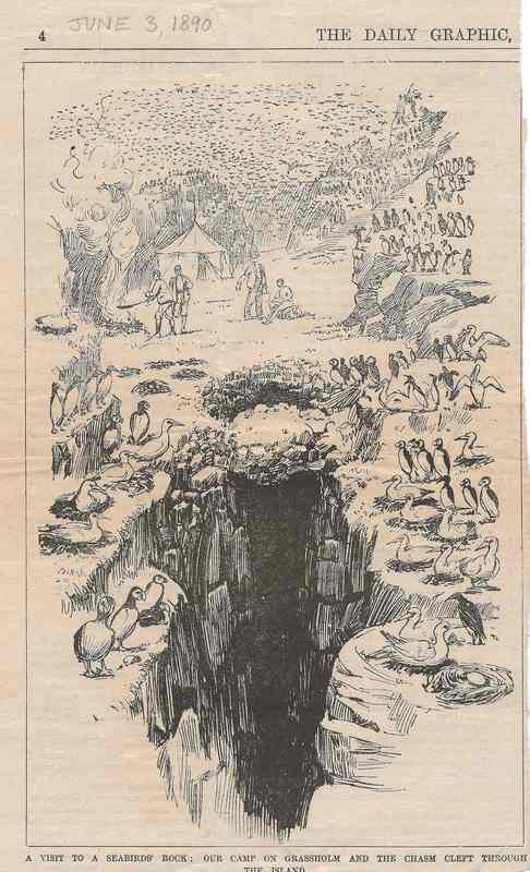 T H Thomas drawing of the camp on Grassholm