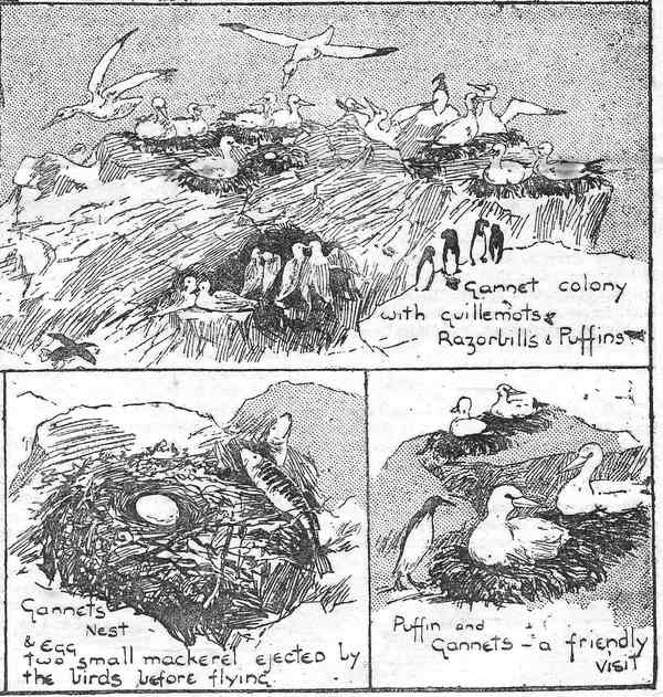 T. H. Thomas sketches from the Daily Graphic 3 June 1890